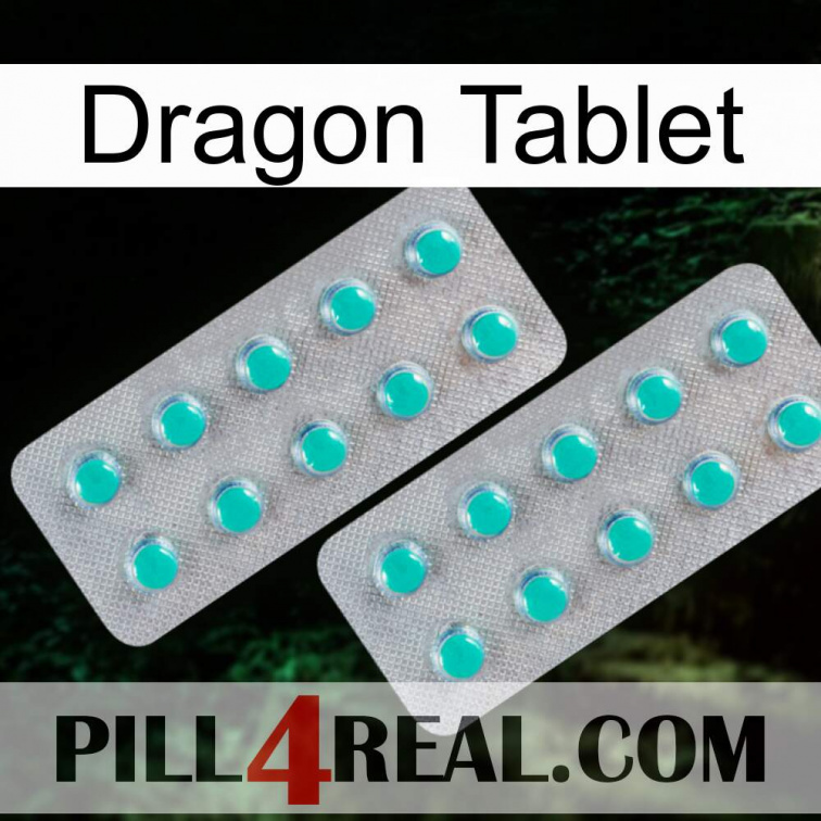 Dragon Tablet 29
